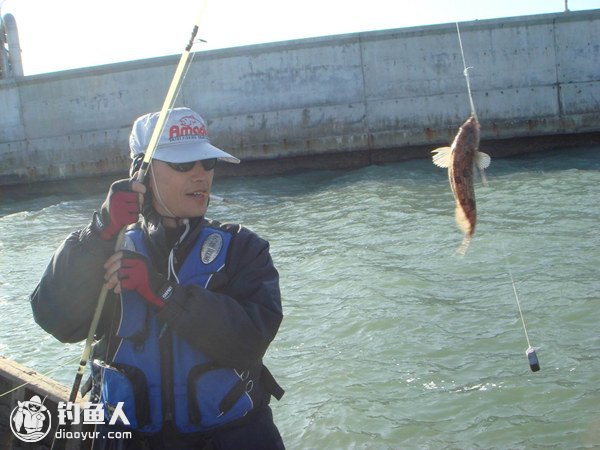 六线鱼的习性及施钓选位与钓具钓法的选择 - 钓