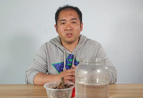鱼饵君 钓鲤鲫药酒配方来了 可当黑坑小药可泡酒米 [视频]