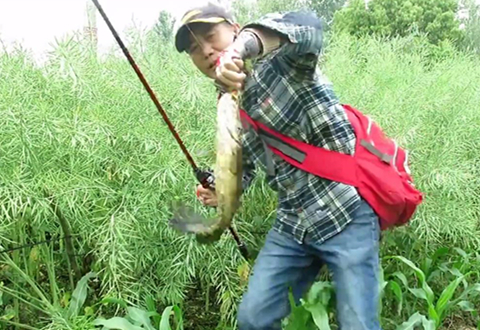 三耳鱼的黑鱼世界 2019春季雷强之十五 [视频]