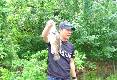 拟饵玩家 河道涵洞水流中路亚拔鳜鱼 [视频]