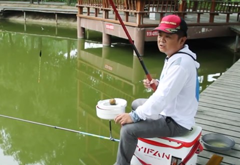 寶峰釣魚 野河老釣點好 大鯽魚連桿不斷釣到