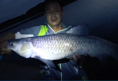 韬哥钓鱼 水库苦苦蹲守一整天 收竿一大青鱼 [视频]