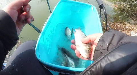 农村一级野钓大师9 钓鲫鱼但走水严重 怎么办  [视频]