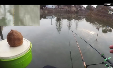 农村一级野钓大师10 去钓小鲫鱼 被大鲤鱼欺负了 [视频]