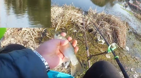 农村一级野钓大师12 实战野钓有一种防守叫做进攻 [视频]