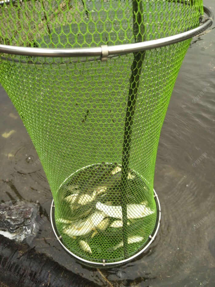 第二十二场大雨浇灭不了咱们兄弟钓鱼的心