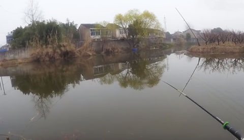 农村一级野钓大师15 钓鱼过程中 变成了技术讲解  [视频]