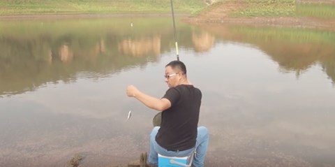 水库实测 醋糖油盐开饵鱼类最钟爱哪种味道 [视频]