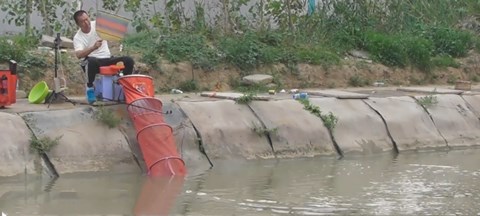 陪着地瓜去钓鱼 端午三天乐鲤鱼 四 [视频]