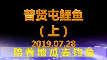 陪着地瓜去钓鱼 普贤屯鲤鱼 上 [视频]