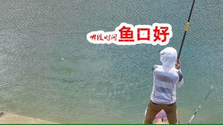 麦子钓鱼 验证鱼口时间 甩大鞭钓大鱼 [视频]