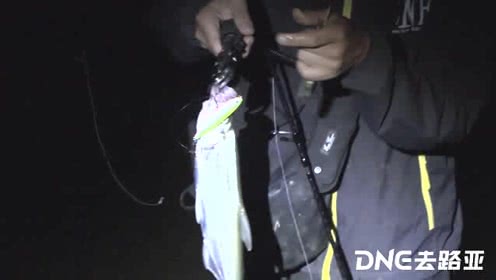 DNE去路亚 车车安徽吃完宵夜五步蛇钓翘嘴 [视频]
