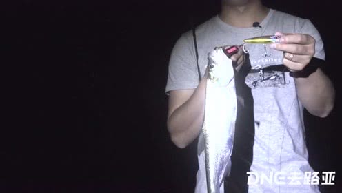 DNE去路亚 少杰夏季雨后超声波钓翘嘴 [视频]
