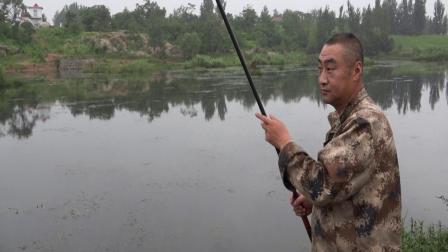 三本先生 传统钓 三伏天河道垂钓小鲫鱼第三天 [视频]