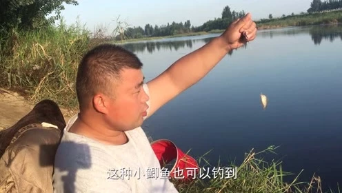 宝峰钓鱼 秋季大鱼小鱼都可以钓的线组搭配,非常实用 [视频]