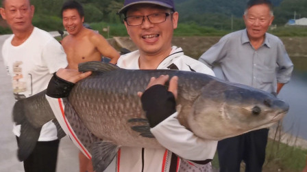 麦子钓鱼 浮底结合钓巨物青鱼，路人纷纷围观鱼好大 [视频]