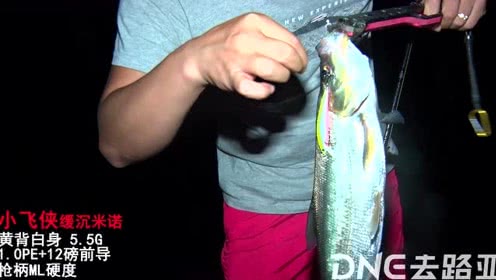DNE去路亚 初秋少杰临安小飞侠夜钓翘嘴 [视频]
