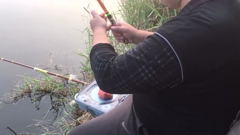 宝峰钓鱼 钓野河在鱼口不好的时候 及时应变技巧 [视频]