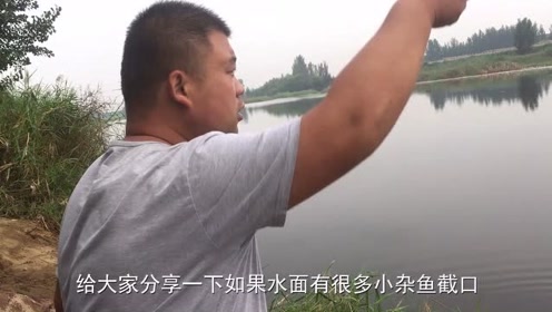 宝峰钓鱼 如何应对小杂鱼闹窝 分享几种方法 [视频]