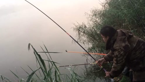 宝峰钓鱼 野钓用什么样的线组比较好？实战博大鱼 [视频]