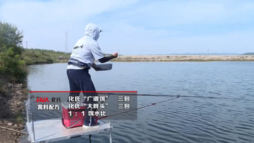 化绍新钓鱼技巧 秋季浮钓大鲢鳙 窝料钓饵可以这样开 [视频]