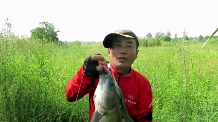 三耳鱼的黑鱼世界 2019秋季雷强之一 [视频]