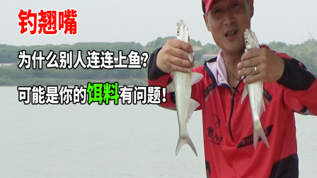 韬哥钓鱼 钓翘嘴为什么别人连连上鱼？是饵料有问题 [视频]