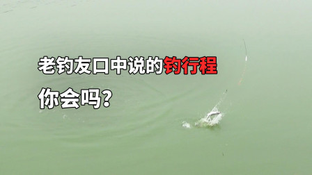 韬哥钓鱼 老钓友口中说的钓形成你会吗？[视频]