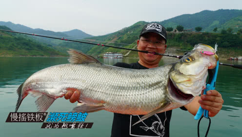 小汐路亚 红水河钓翘嘴 作钓策略的失误却很惨痛 [视频]