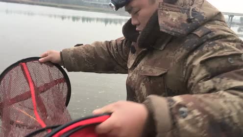 宝峰钓鱼 秋季野钓用什么鲫鱼酒米比较好？ [视频]