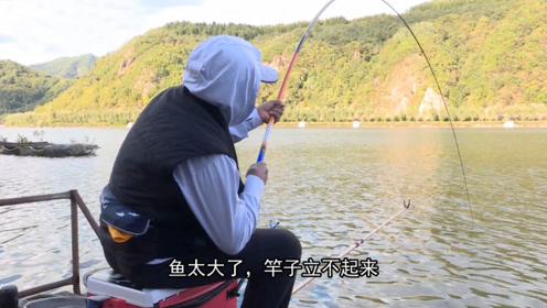 化绍新钓鱼技巧   这里的鱼真凶，浮漂嗖一下就没了影 [视频]