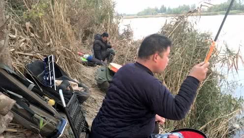 宝峰钓鱼 降温之后，去野河试验中药米打窝的效果 [视频]