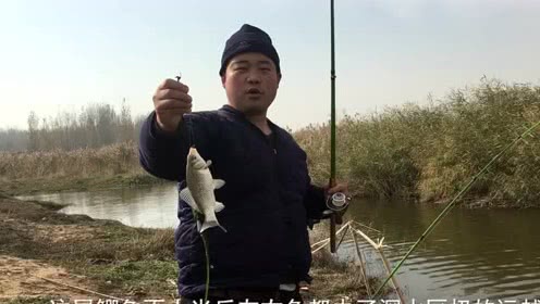 宝峰钓鱼 用筏竿垂钓大板鲫连杆不断渔获满满 [视频]