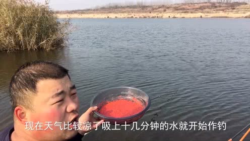 宝峰钓鱼 野钓非常好用的中药米 发窝后连杆 [视频]