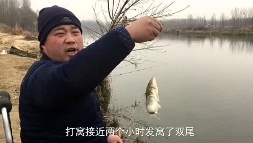 宝峰钓鱼 零下五六度的天气钓野河用自制酒米打窝 [视频]