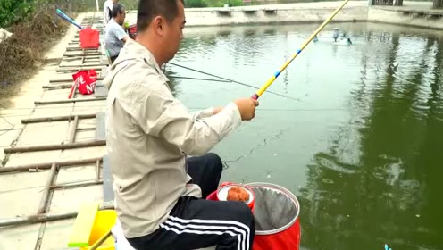  陪着地瓜去钓鱼 颗粒的优势 [视频]