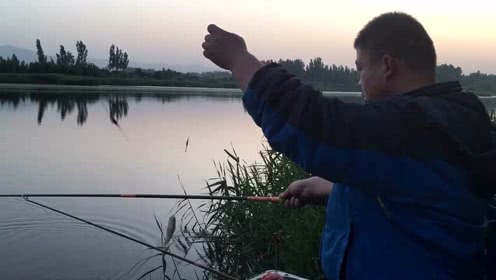 宝峰钓鱼 自制的中药酒钓野河效果还是不错的 [视频]