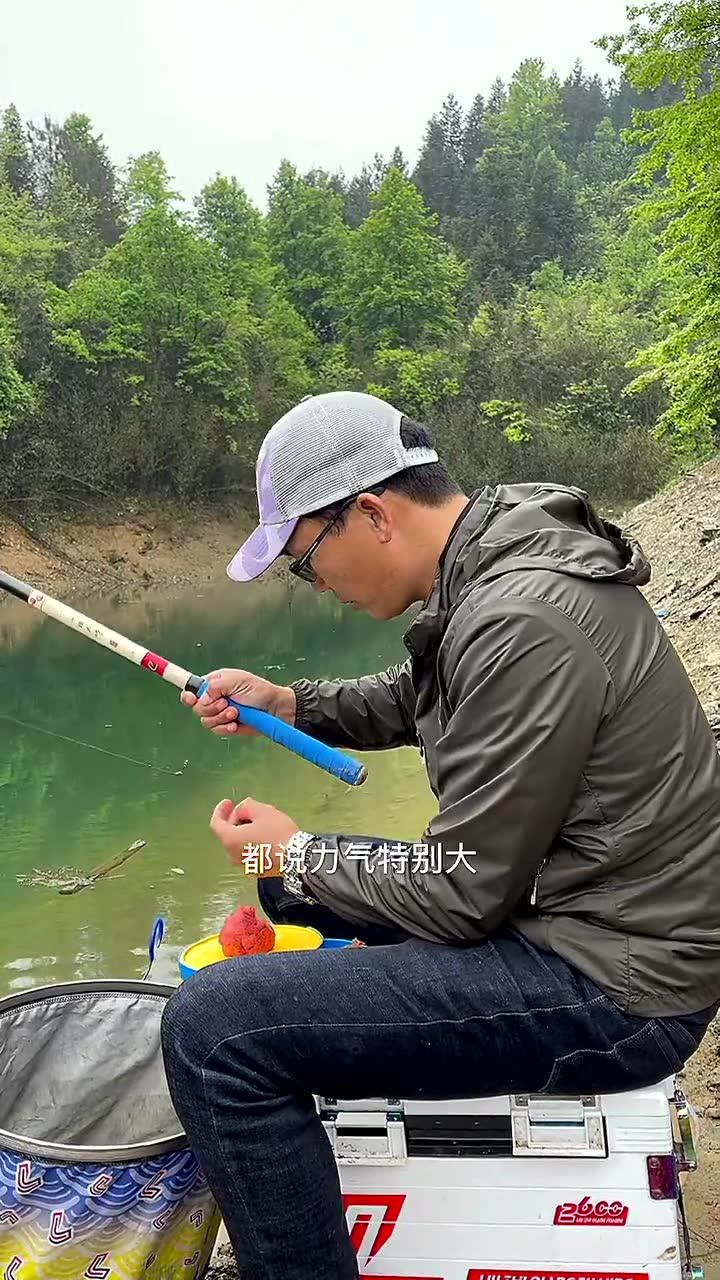 刘志强来钓鱼 我和水库的大鲫一年一度的约会 [视频]