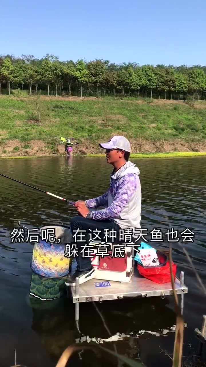 刘志强来钓鱼  湖北荆州小野河作钓小野鱼 [视频]