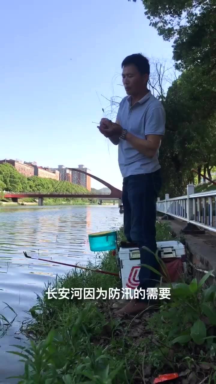 刘志强来钓鱼  钓鱼不必去远方 [视频]
