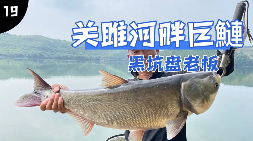 邓刚钓鱼 挑战关雎河畔里的巨鰱 [视频