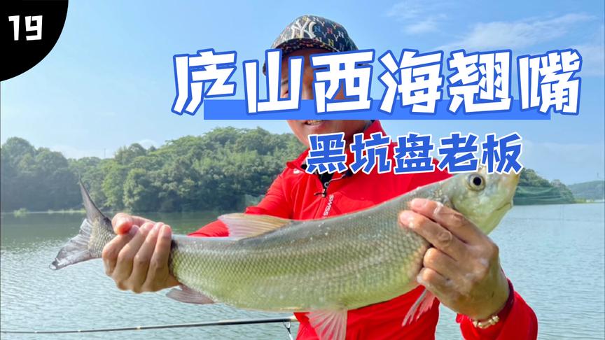 邓刚钓鱼 第一次遇到质疑玉米能钓的水库老板 [视频]