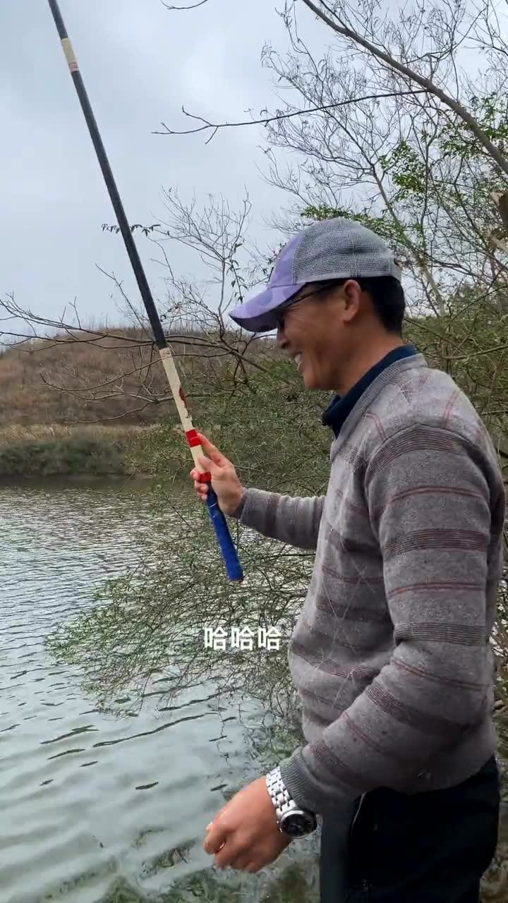 刘志强钓鱼  想钓大鲫，谁料到鲤鱼咬疯了 [视频]