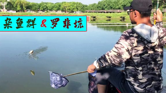 户外老曹 老曹和黑坑老板阿汤哥掐鱼 [视频]