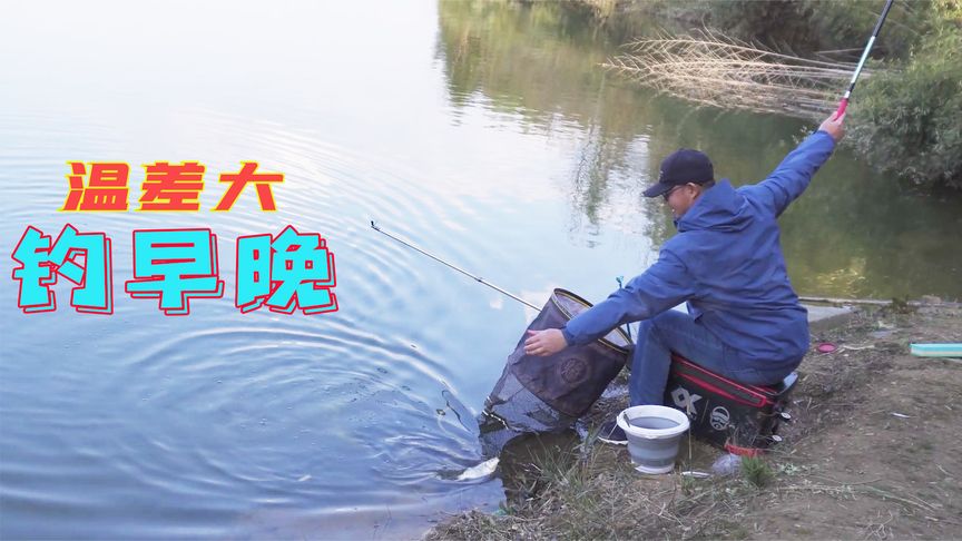 户外老曹 曹鲢长测试鲢鳙竿有惊喜 [视频]