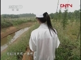 运动空间之游钓江西 中 路亚鲈鱼 [视频]
