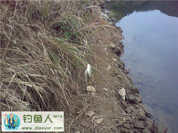 冬季水库钓鱼