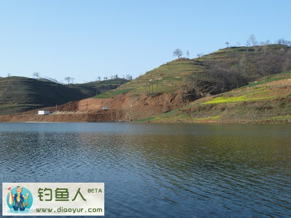 清沟湖钓点