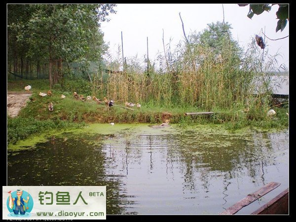 沱湖船钓