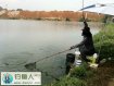 秋季海口爽钓古城大鲫鱼